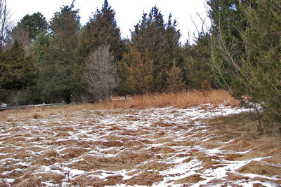 Belmont Hill Club land purchased through a JRCF grant