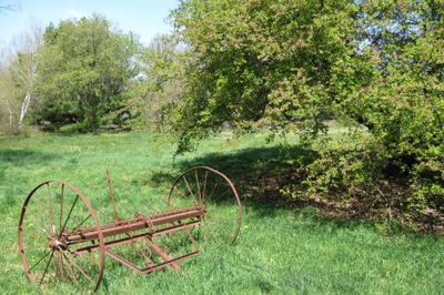 Weeks Meadow