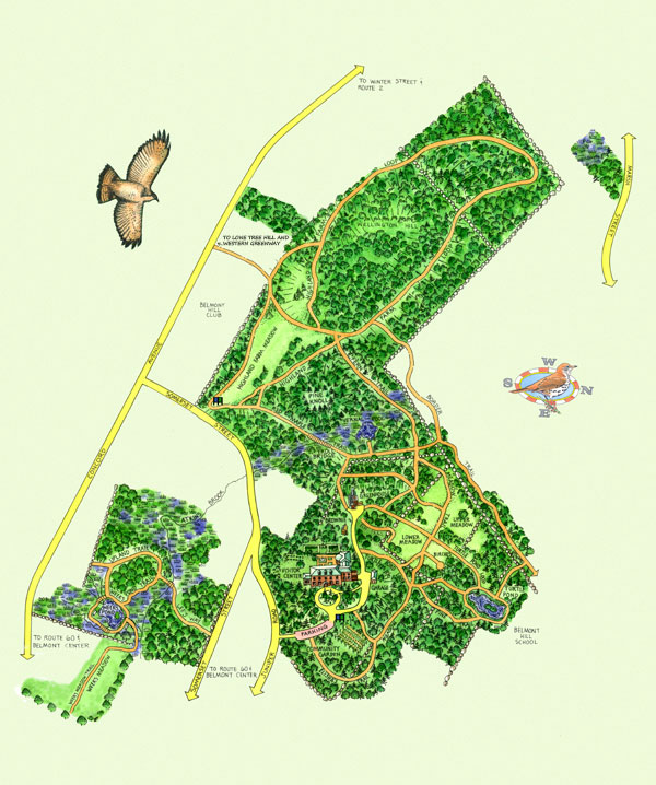 Trails in Belmont, Massachusetts