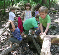 Children playing on a log