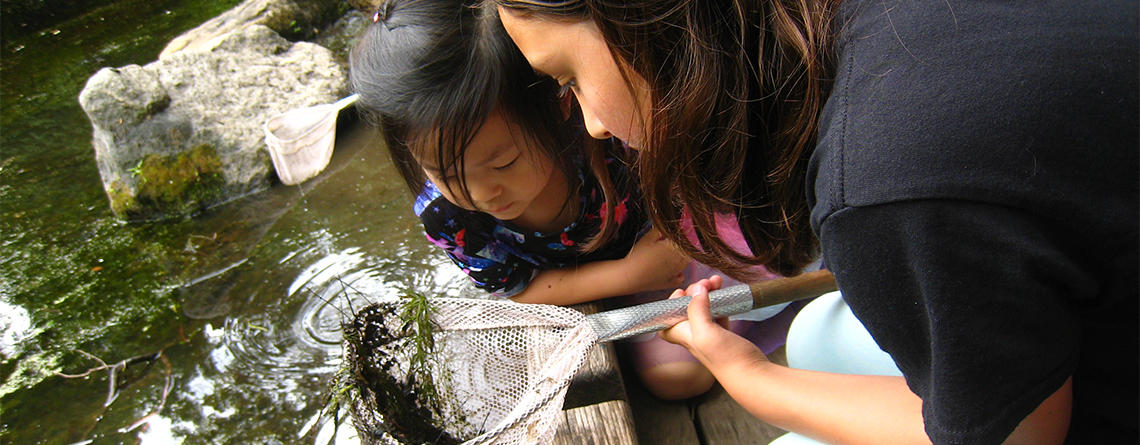 Ponding discoveries at Habitat Camp