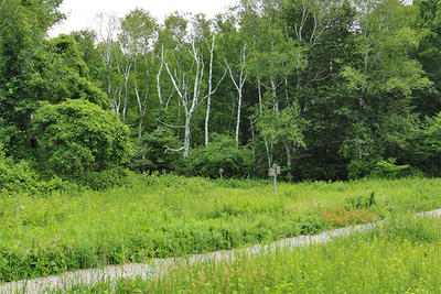 Weeks Meadow Trail at Habitat by K. Foresto