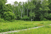 Weeks Meadow Trail at Habitat by K. Foresto