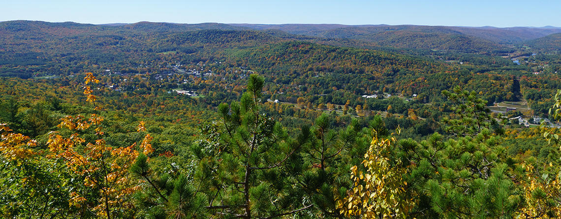 View of the forest from the trail summit at High Ledges Wildlife Sanctuary