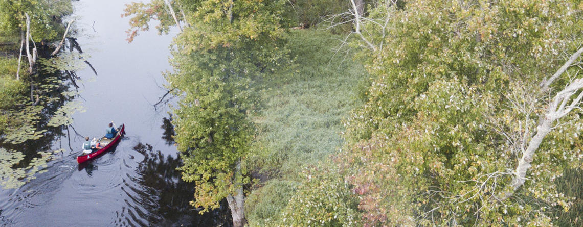 Aerial view of two adults canoeing at Ipswich River Wildlife Sanctuary