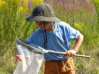 A boy with butterfly net