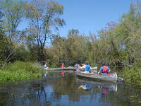 Canoeing on the Ipswich River (Photo: Carol Decker)
