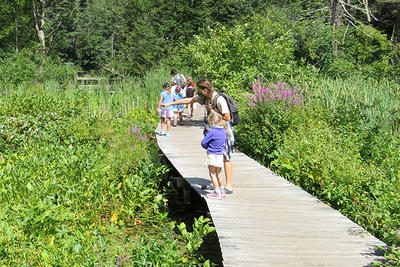 Ipswich River Summer Camp 2021