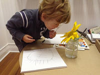Nature Preschool Boy Studying Flower 320