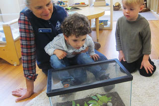 Teacher naturalist encouraging boy to investigate a plant tank