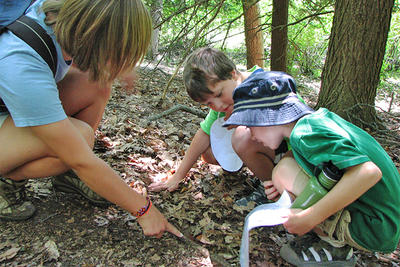Young campers examining animal tracks at Ipswich River