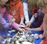 Students sorting shells during a Joppa Flats Education Center program
