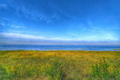 Looking out towards the ocean at Joppa Flats Wildlife Sanctuary