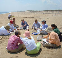 Teachers doing an education workshop on the beach with Joppa Flats