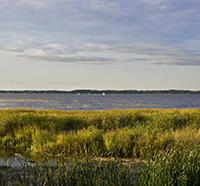 View across the bay from Joppa Flats Education Center