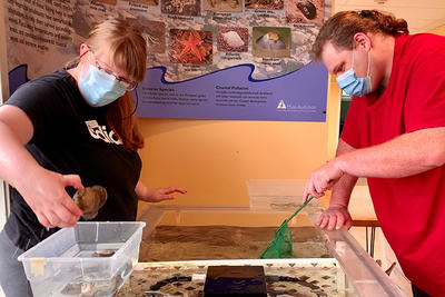 Joppa Flats vocational interns Erin & Katie checking the health of our marine tank animals