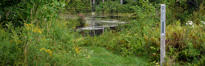 Trail at Lake Wampanoag Wildlife Sanctuary
