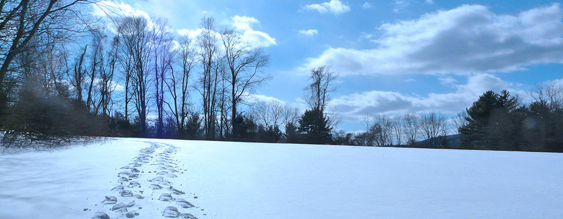 Hiker tracks in the snow at Lime Kiln Farm Wildlife Sanctuary