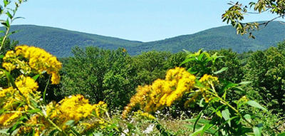 View of the mountains at Lime Kiln Wildlife Sanctuary
