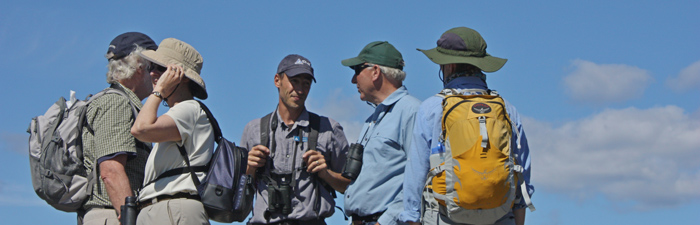 Adult Group 700