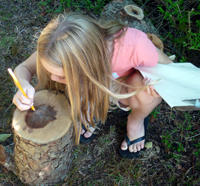 Child counting tree rings at Long Pasture Wildlife Sanctuary