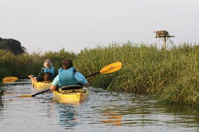 kayaking