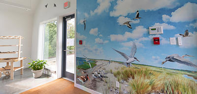 Lobby inside the Discovery Center at Long Pasture Wildlife Sanctuary