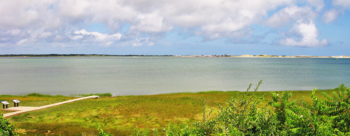 View of the Marsh Boardwalk Trail in summer at Long Pasture Wildlife Sanctuary