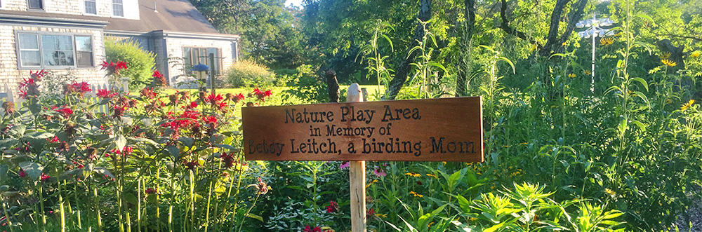 Long Pasture's Nature Play Area in summer