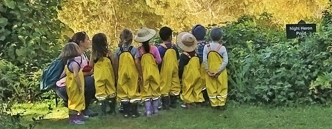 Long Pasture Nature Preschool Explorers at Night Heron Pond