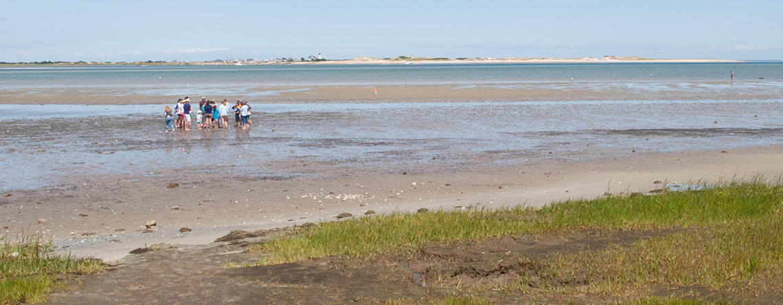 Tidal flats at Long Pasture in summer © AnnMarie Lally