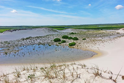 Vernal pool on Sandy Neck Barrier Beach