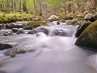 Lyman Brook © Richard Johnson