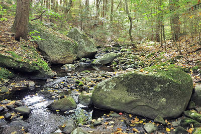 Lyman's Brook at Lynes Woods Wildlife Sanctuary