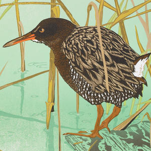 Andrea Rich woodcut