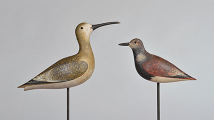 Eskimo curlew and ruddy turnstone by John Dilley. Collection of The Farmers’ Museum.