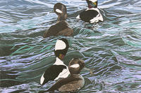 "Dinner Party" linocut © Sherrie York