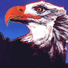 Exhibit Andy Warhol Endangered Species