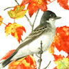 Exhibit Nature's Palette Mildred Morse Allen