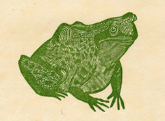 Frog by Leonard Baskin from A Little Book of Natural History, linoleum cut, 1951
