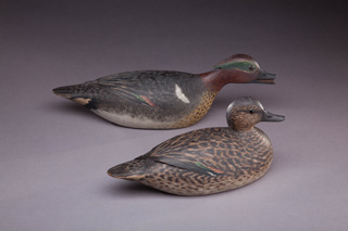 Green-winged Teal Pair, A. Elmer Crowell, 1916