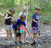 Group of kids at a vernal pool