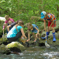 Homeschool students exploring a stream