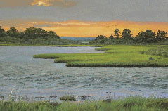 Summer Sunset © Cindy House