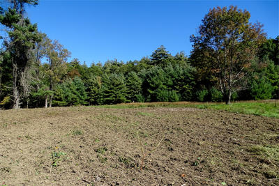 Fields after 2018 restoration work at Moose Hill