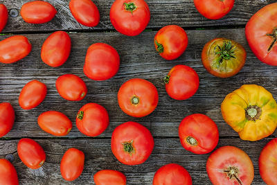 variety of tomatoes laid on on top of a picnic table