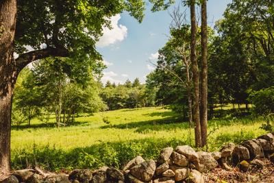 Trail through a summer meadow at Moose Hill Wildlife Sanctuary