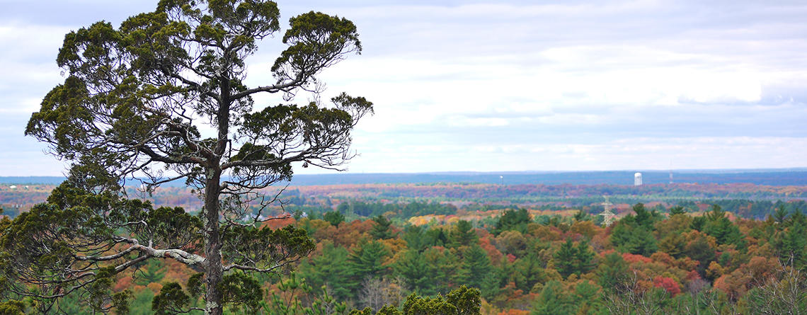 View from the summit overlook in early fall at Moose Hill Wildlife Sanctuary
