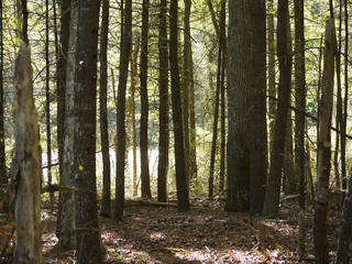 North Hill Marsh Wildlife Sanctuary