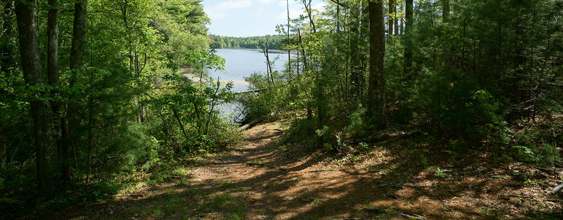 Trail leading to the pond at North Hill Marsh Wildlife Sanctuary